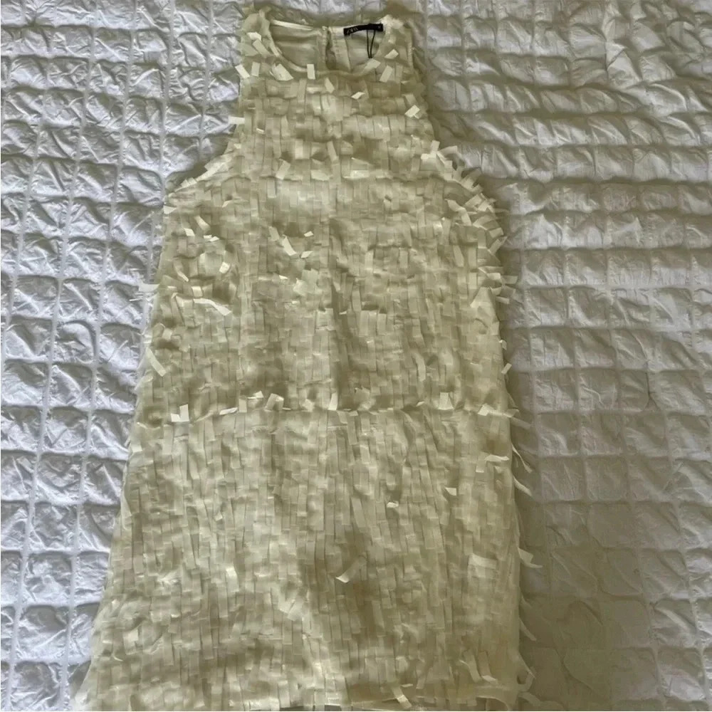 Zara metallic fringe mini dress - Picture 4 of 9
